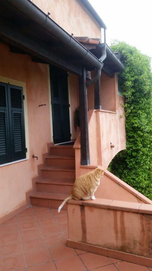 Pin De Stelle Bed & Breakfast San Martino  Dış mekan fotoğraf